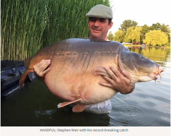 約50kgの巨大コイを捕獲 巨大魚を追う釣りキチ達が集う コイ釣り がアツすぎる ガジェット通信 Getnews