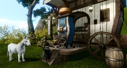 Trion clarifies ArcheAge s head start housing situation