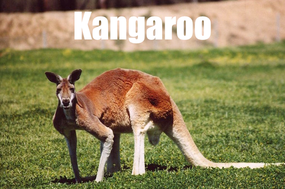 word3.PNG