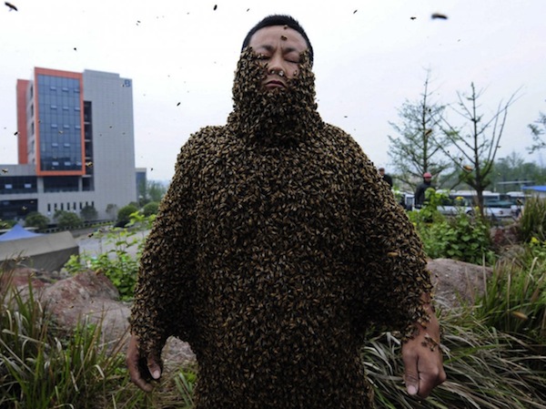 11+Most+Bees+Covering+Body.jpg