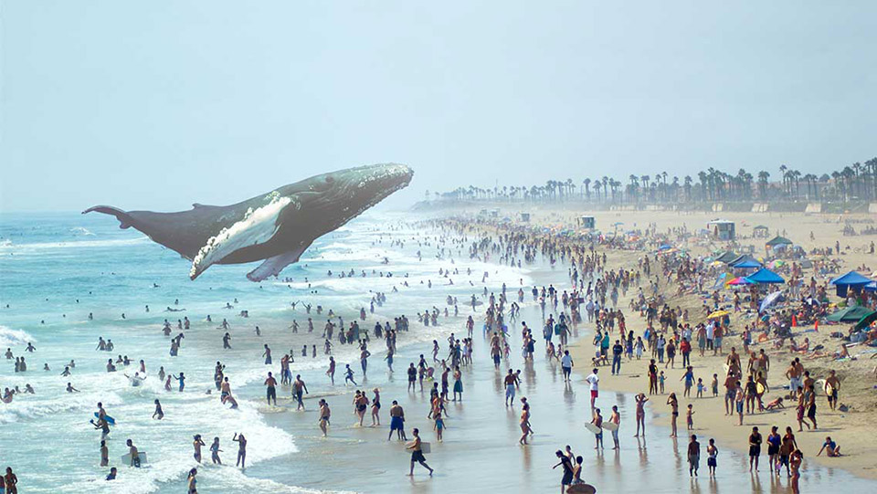 Here's what we know about Magic Leap so far
