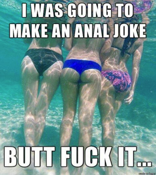 funny photos, funny pics