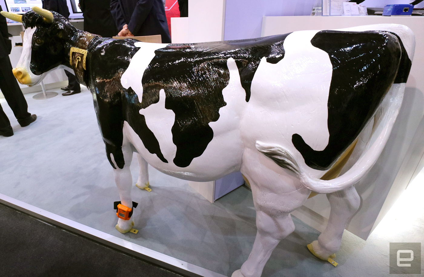 Fujitsu made a wearable that knows when a cow is in the mood