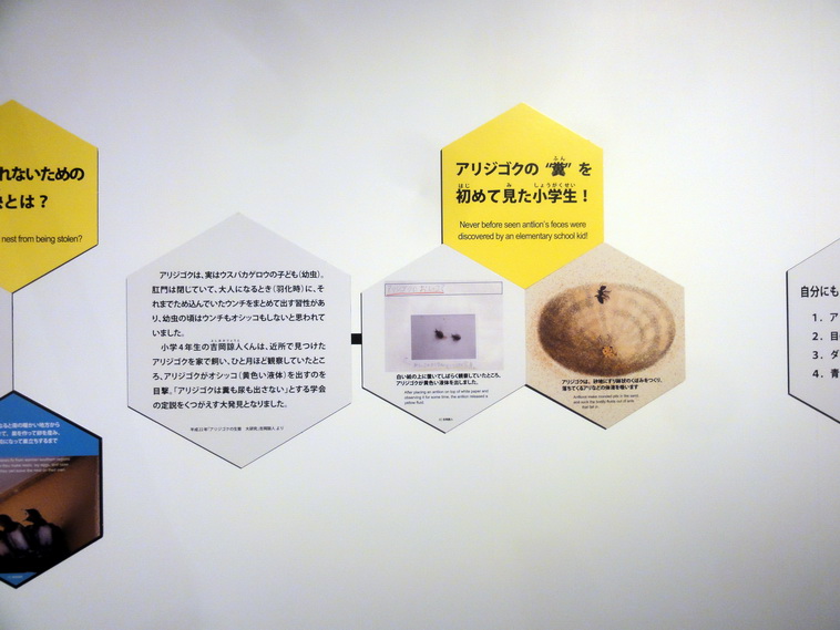 科学未来館が企画展 ポケモン研究所 開催 ゲームやクイズで観察と分類の重要性を学ぼう Engadget 日本版