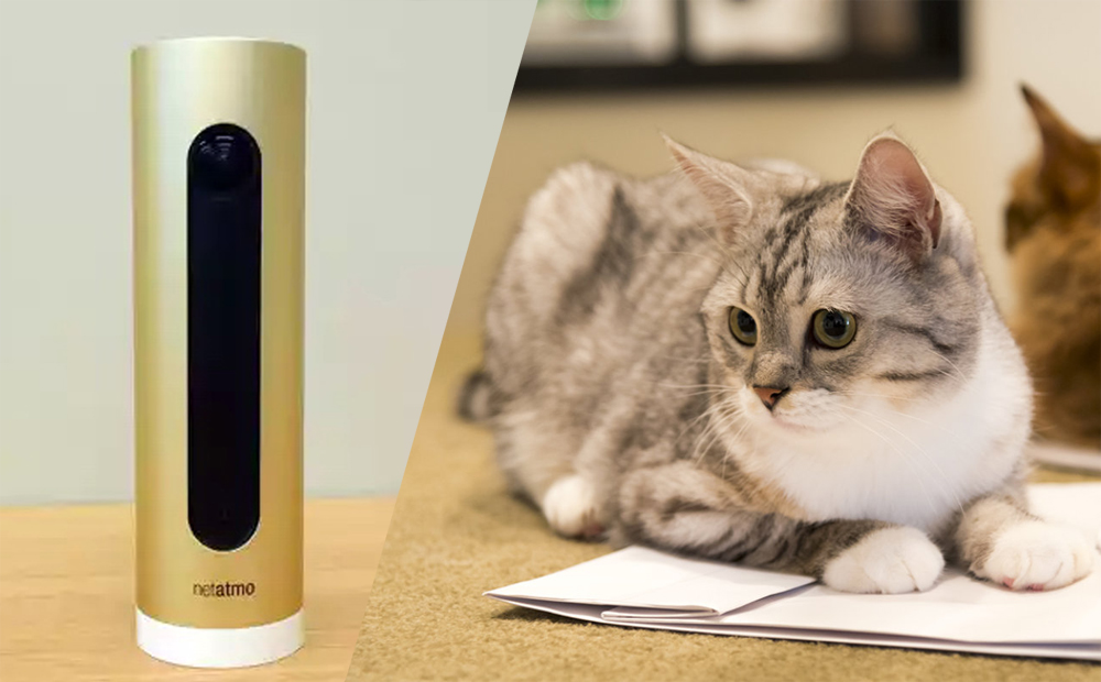 動物検知機能でペットも見守り Netatmoの監視カメラwelcomeが7月に無償アップデート Engadget 日本版