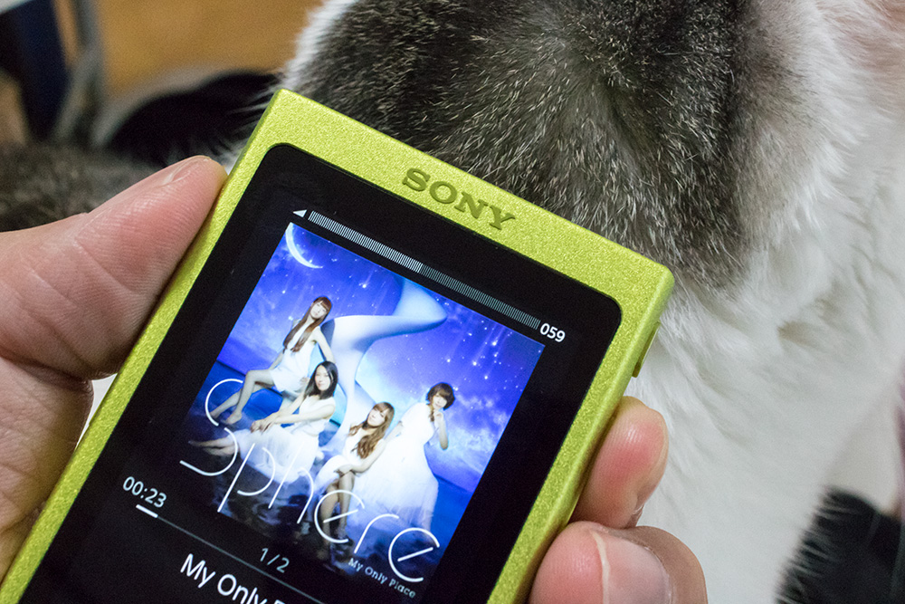 ウォークマンa30シリーズを購入して2週間 ハイレゾ音源対応機を使って改めて感じた 音楽を聴く楽しみ Engadget 日本版