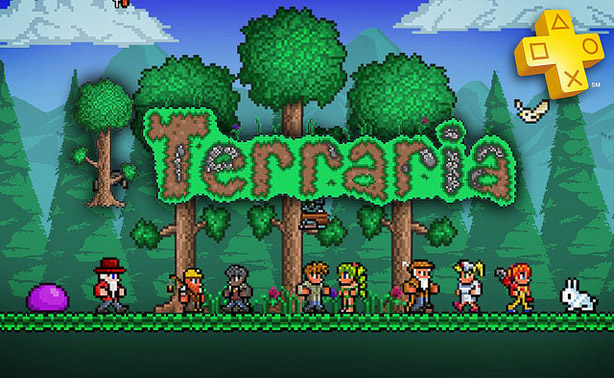 Какая версия terraria на ps vita