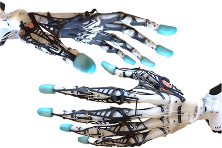 紫外線や円偏光も見えるシャコの眼 自爆テロリスト発見器 人間の手に最も近いロボットハンド 画像ピックアップ Engadget 日本版
