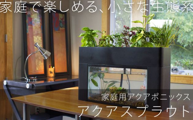 机の上に小さな生態系 家庭菜園とアクアリウムを同時に楽しめるキット アクアスプラウト 12月中旬発売 Engadget 日本版