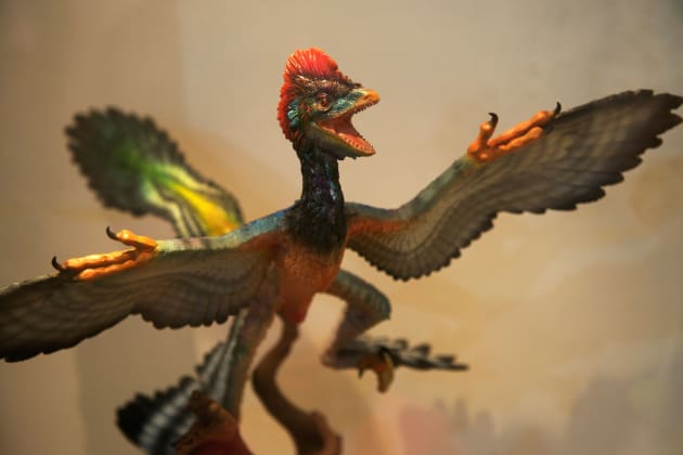 Restored model of Anchiornis huxleyi "Huxley's near bird",  smallest known non-avialan dinosaur.