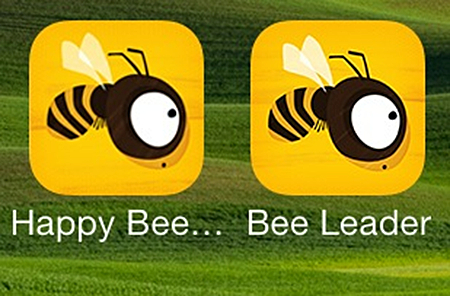happy bee icon compared with bee leader icon