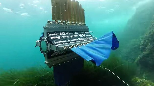 Sepios cuttlefish robot