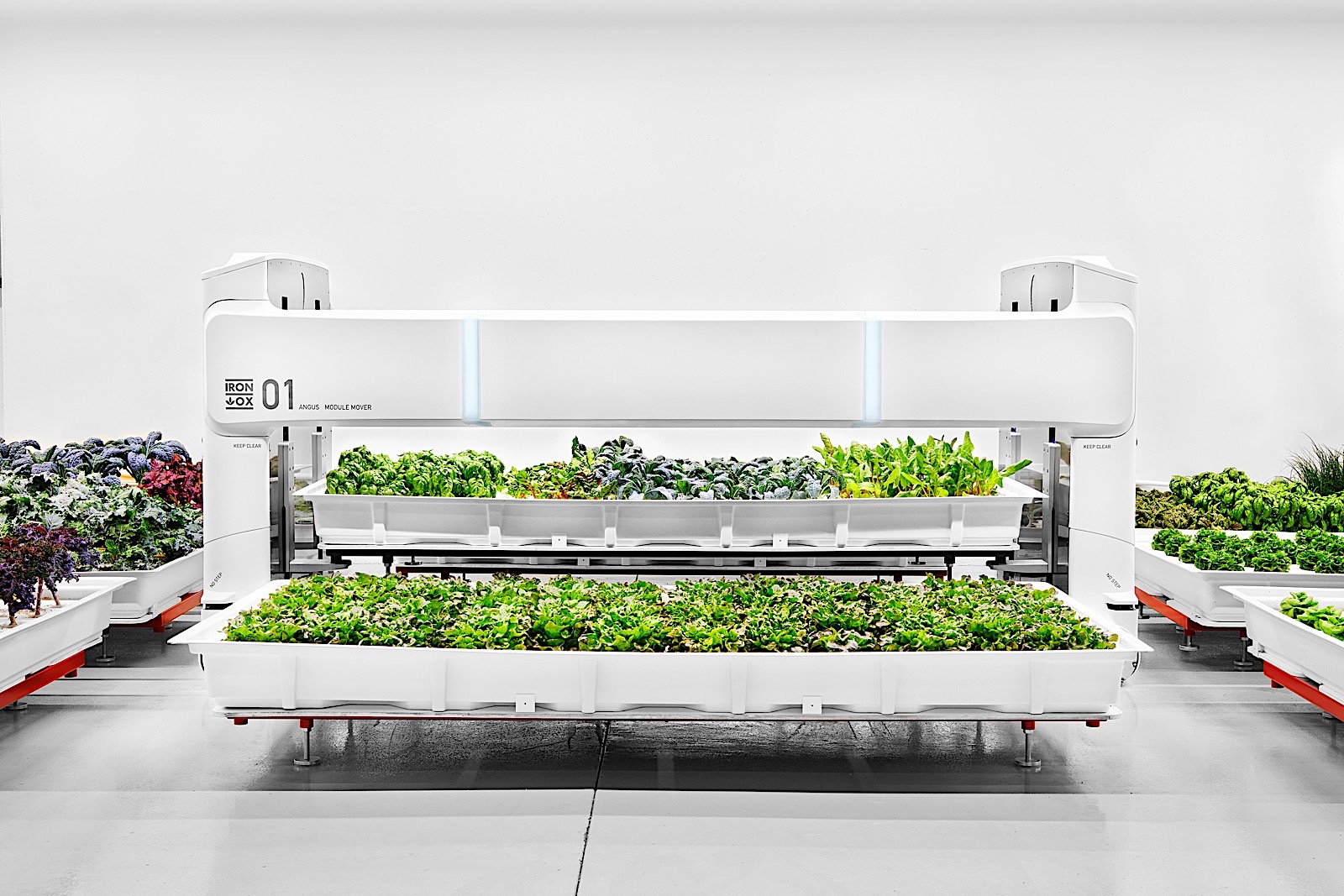 Midler i dag Vurdering The future of indoor agriculture is vertical farms run by robots | Engadget