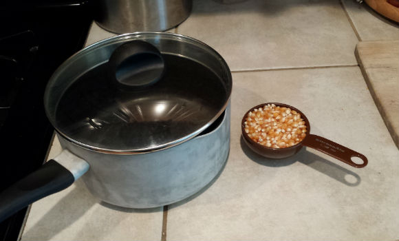 Popcorn kernels and pot