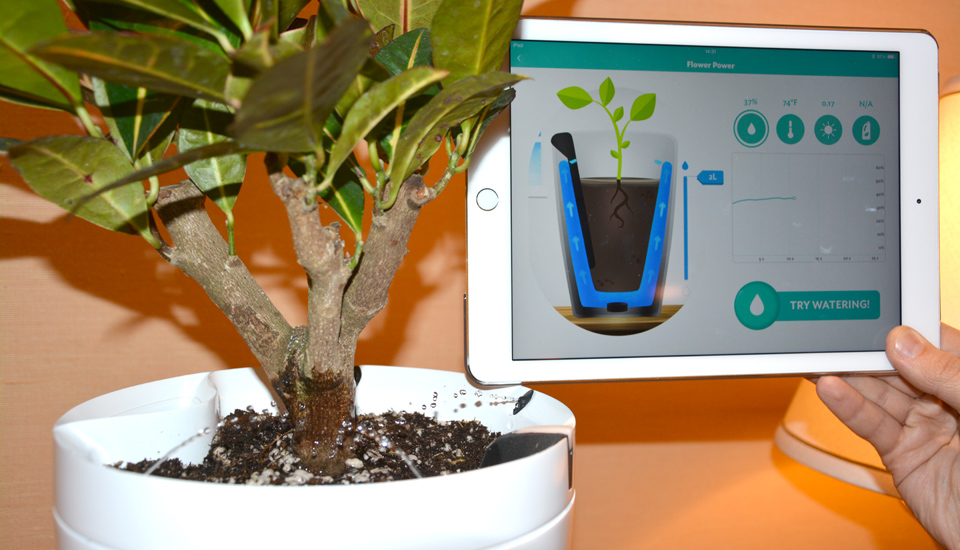 Parrot 自動水やり植木鉢 Pot 発表 スマホで状態確認 園芸アドバイスも提供 Engadget 日本版