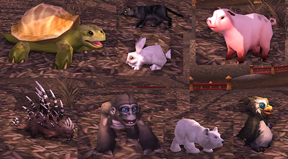 Various animals cast from polymorph spells: turtle, black cat, rabbit, pig, porcupine, monkey, bear cub and penguin.
