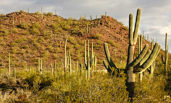 5 Places to Go in February