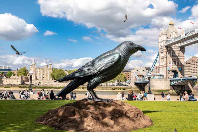 EDITORIAL USE ONLYA supersized (2.5 meter tall) replica of Britainâ€™s most elusive bird, the raven, has been created by smartphone manufacturer Huawei, as they reveal new research about our love of British wildlife, Potters Field Park, London. PRESS ASSOCIATION Photo. Picture date: Thursday May 10, 2018. The raven was found to be the rarest form of British wildlife, and least likely to be seen by members of the public according to the research. The new Huawei P20 Pro features a 5 x hybrid zoom which makes capturing stunning images of wildlife much easier. Other giant ravens will be appearing around the UK in Glasgow, Edinburgh, Newcastle, York, Leeds, Manchester, Liverpool, Birmingham and Cardiff this weekend. Photo credit should read: John Nguyen/PA Wire.