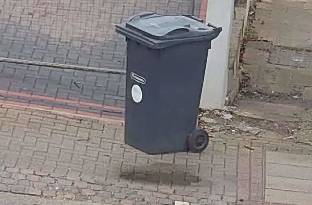 Excited about bins : r/confusing_perspective