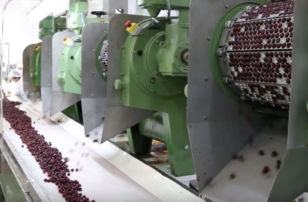 This is how thousands of cherries get pitted at once - Yahoo