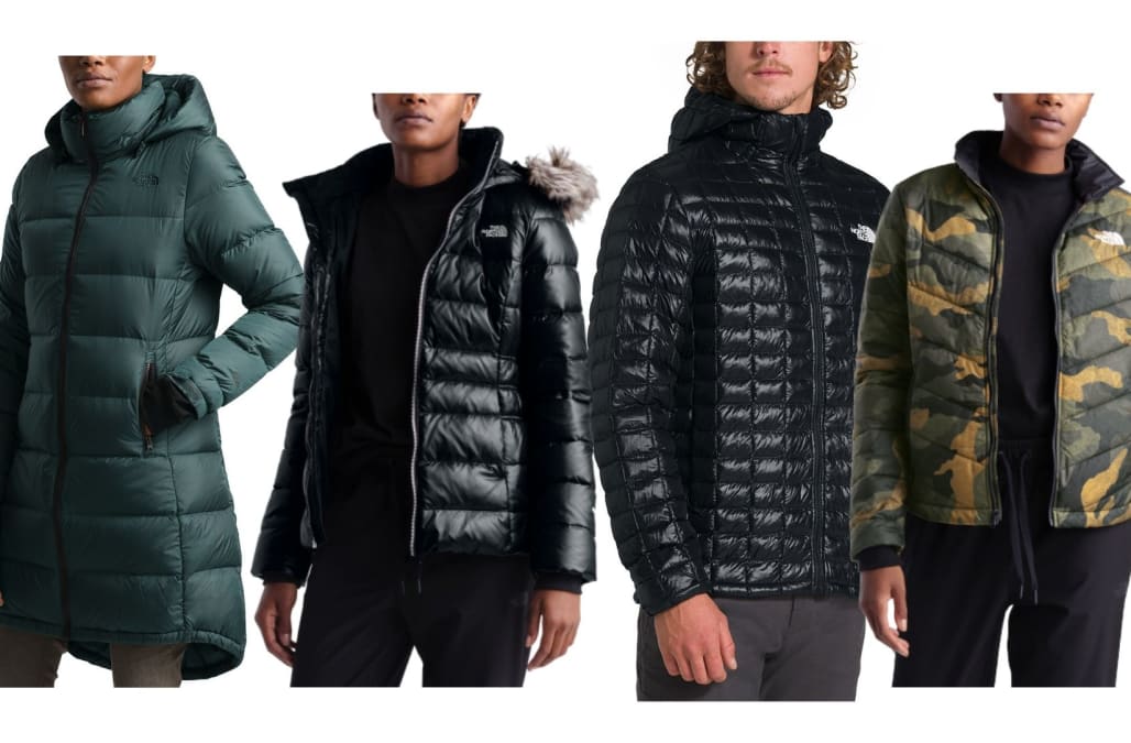 the north face bold hooded coat