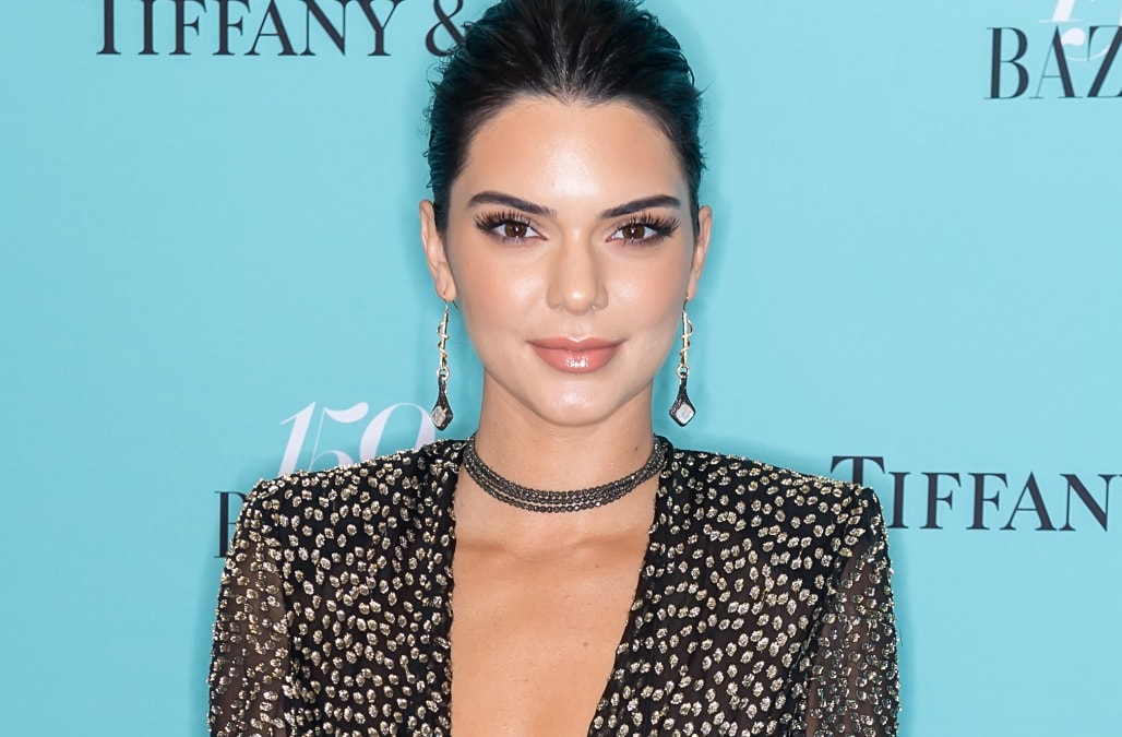 Kendall Jenner Posts Totally Topless Photo On Instagram Aol Entertainment 5970