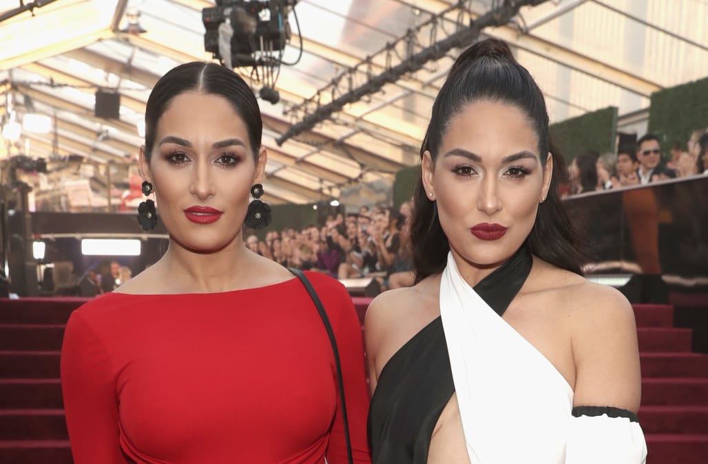 Nikki And Brie Bella Reveal Theyre Both Pregnant With Due Dates Less Than Two Weeks Apart