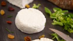 Des crottins de Chavignol rappelés après une contamination à la bactérie