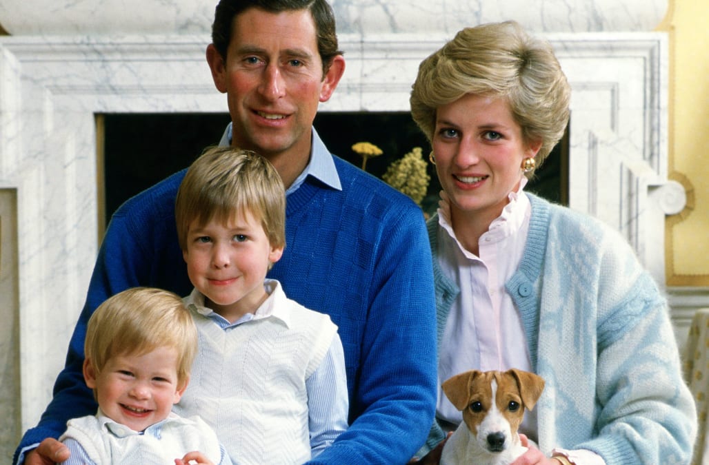 This could be why Princess Diana never had more children