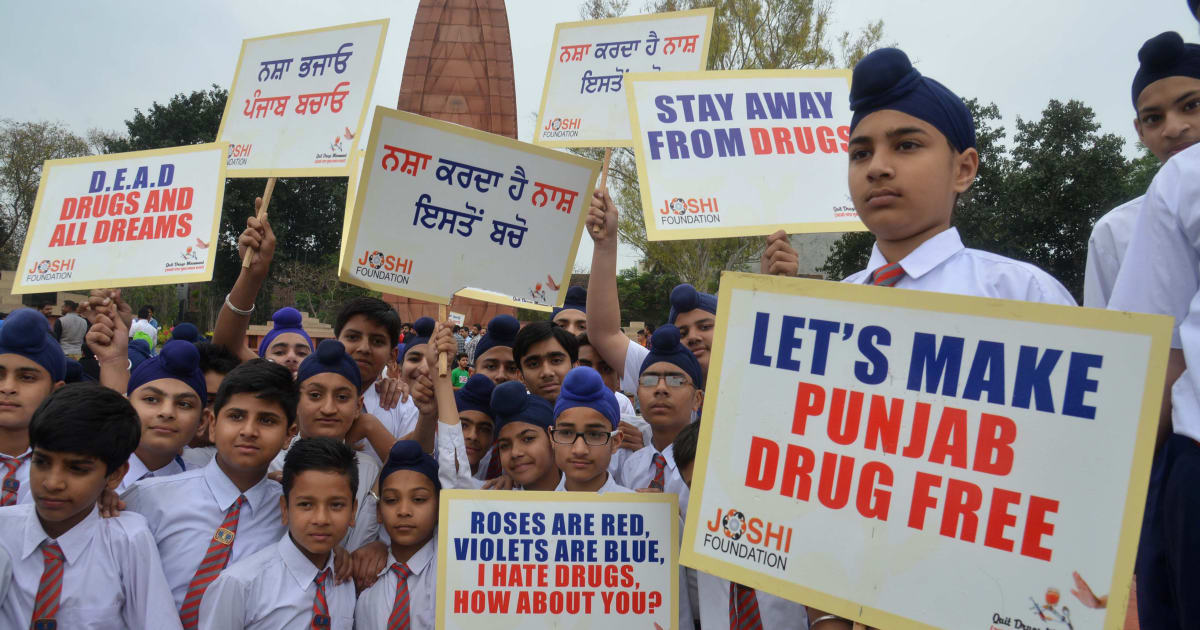 Image result for punjab drugs