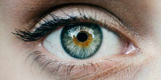 Stampata la prima cornea in 3D, ottenuta con staminali umane