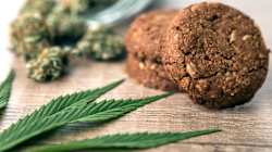 Les cookies au cannabis envoient du monde aux urgences dans cet État