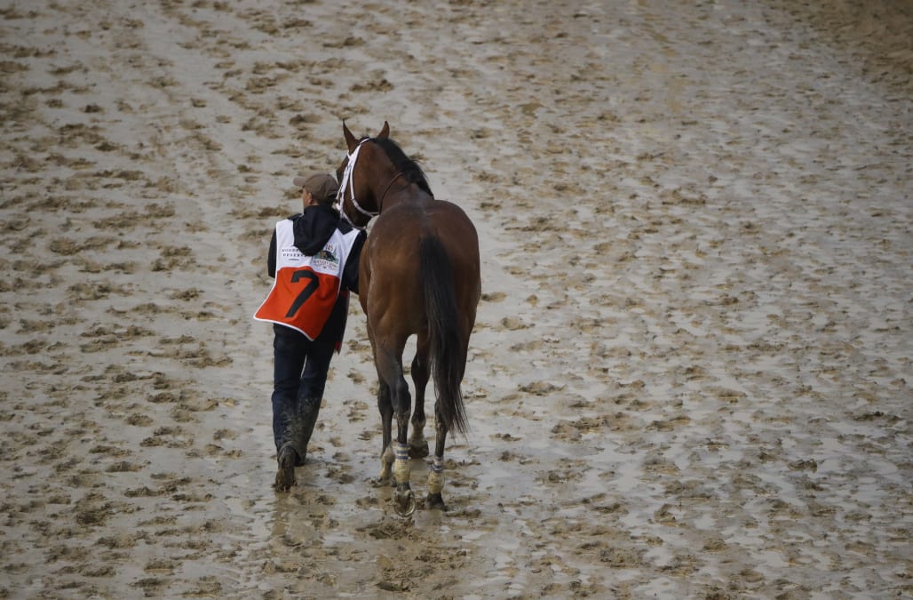 Owner of disqualified horse Maximum Security to appeal Kentucky Derby