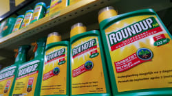 Monsanto condamné à payer près de 300 millions de dollars pour avoir mal informé sur les dangers du