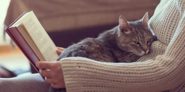 Oggi è la Giornata Mondiale del Libro, ma 6 italiani su 10 non ne leggono nemmeno uno all’anno