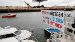 La France va interdire la pêche électrique avant l'UE (qui le fera en