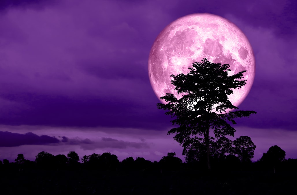 A ‘super pink moon’ is lighting up the skies this week — here’s when you can see it