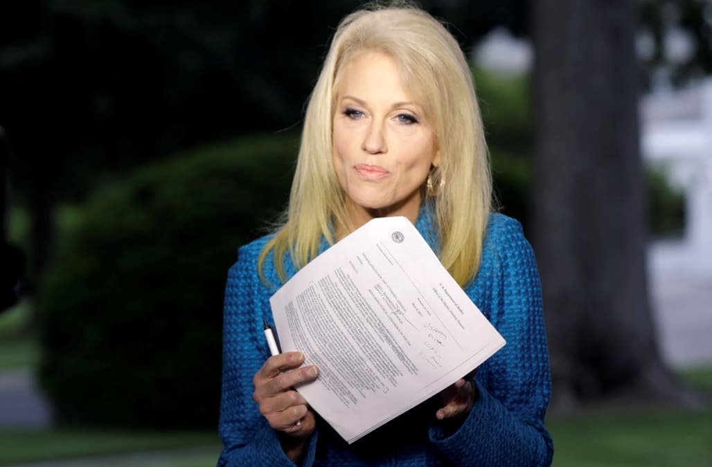 Porn Politics - Kellyanne Conway slammed as 'politics porn' by MSNBC host ...