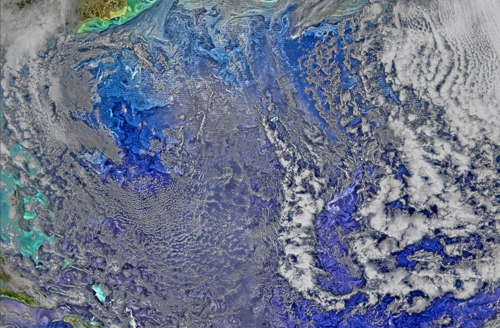 Nasa Satellite Captures Turquoise Swirls In Black Sea Aol News
