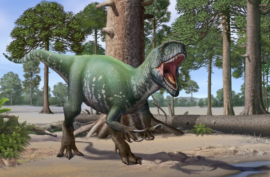 Megaraptor: Largest known raptor dinosaur uncovered in South America