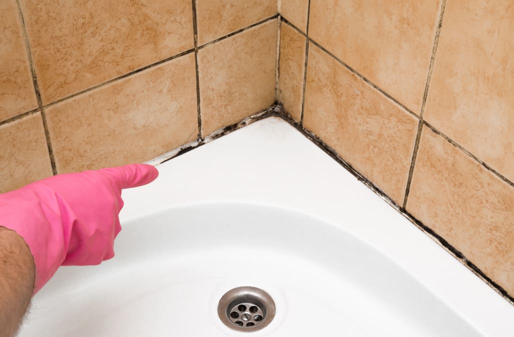 Hand In Rubber Protective Glove Pointing To The Mold In The Shower Picture Id894365836