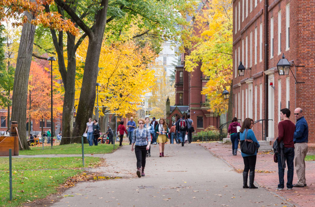 Most Popular Majors At Ivy League Schools