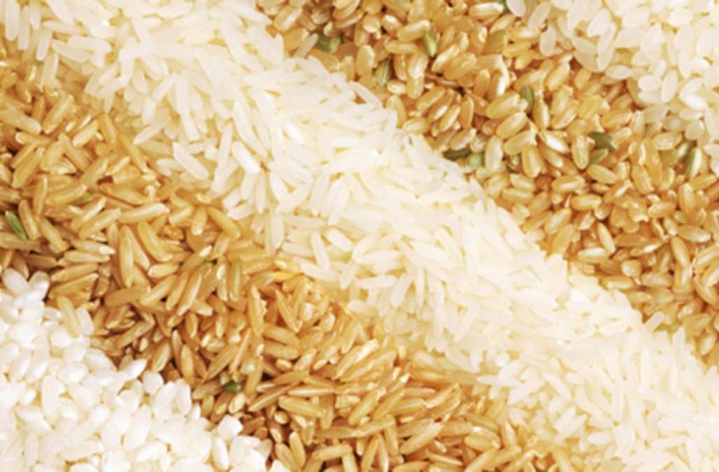 What is the Difference Between White Rice and Brown Rice?