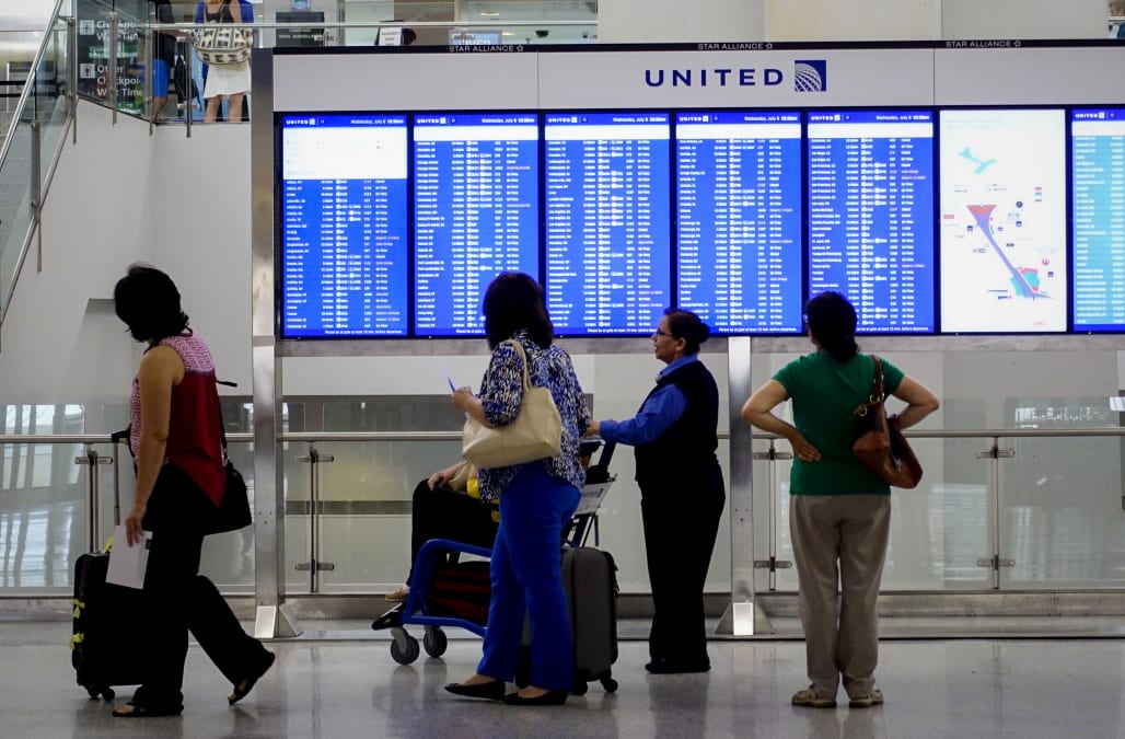 A Woman Tried To Bring An Emotional Support Peacock On A United Flight — And It Reveals A 2203