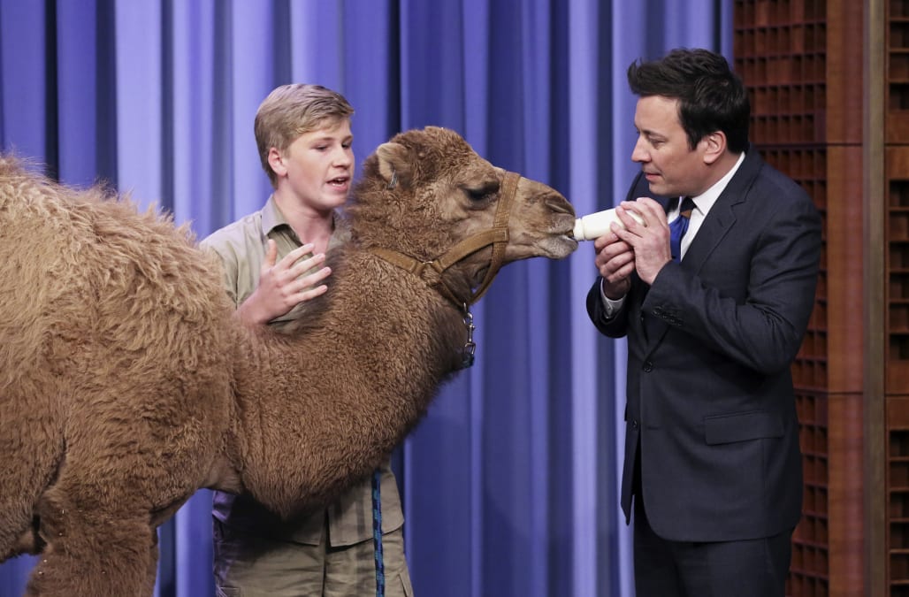 Robert Irwin challenges Jimmy Fallon to meet some ...