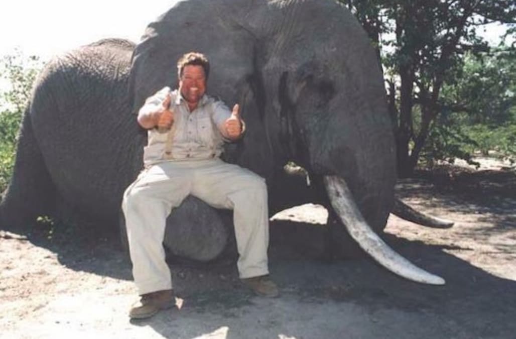 Image result for jimmy johns ceo elephant hunting