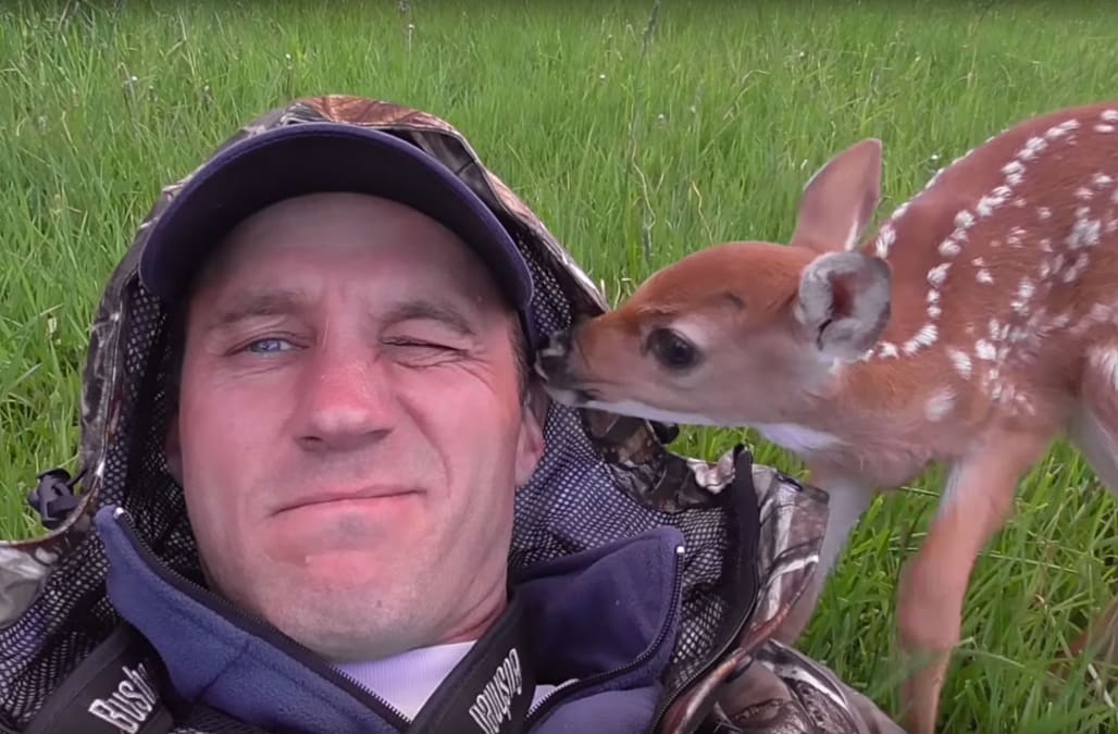 Oh, Deer! Doe has hard time leaving the man who saved her life