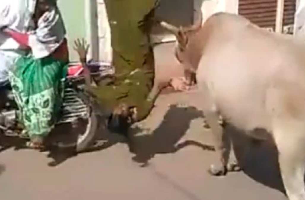 Terrifying footage captures a bull knocking a woman off her scooter ...
