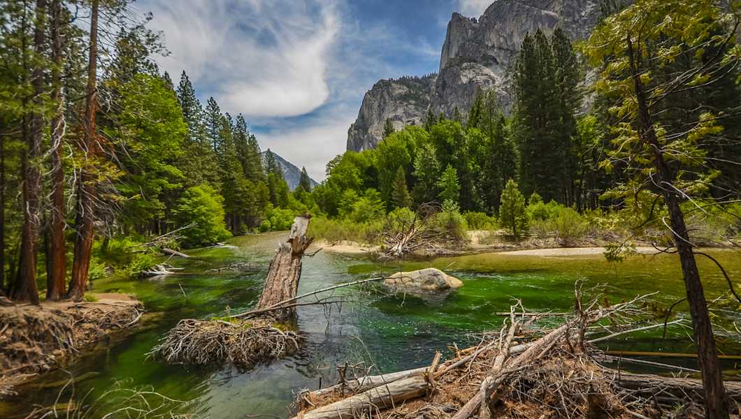 Kings Canyon National Park