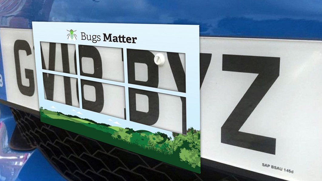 Flecken auf britischen Nummernschildern zeigen schockierenden Insektenrückgang